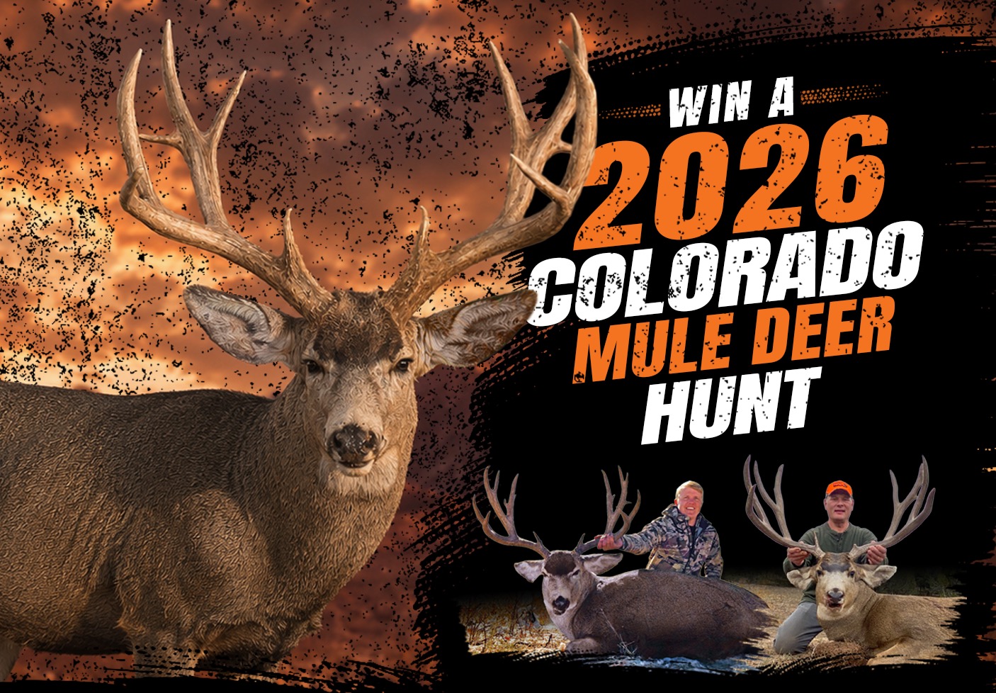 Win a 2026 Colorado Mule Deer Hunt