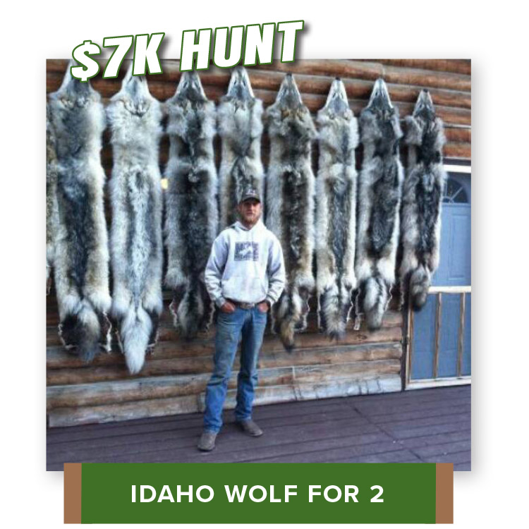 24_W_HuntHighlight_IDwolf