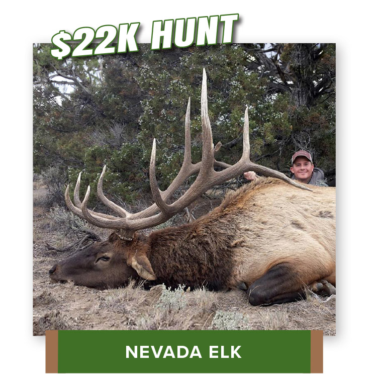 24_W_HuntHighlight_NVelk