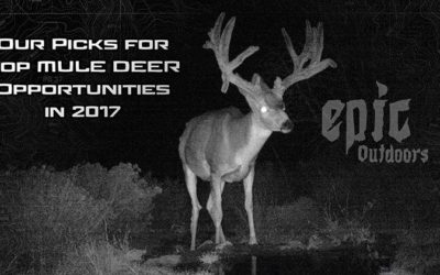 Our Picks for Top Mule Deer Opportunities in 2017