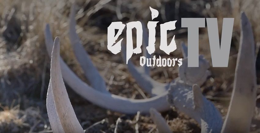 Utah DWR explains shed hunting closure and tough winters